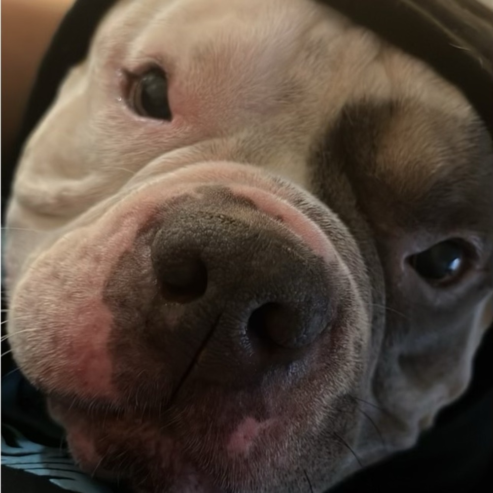 Meet your Posher, Eber